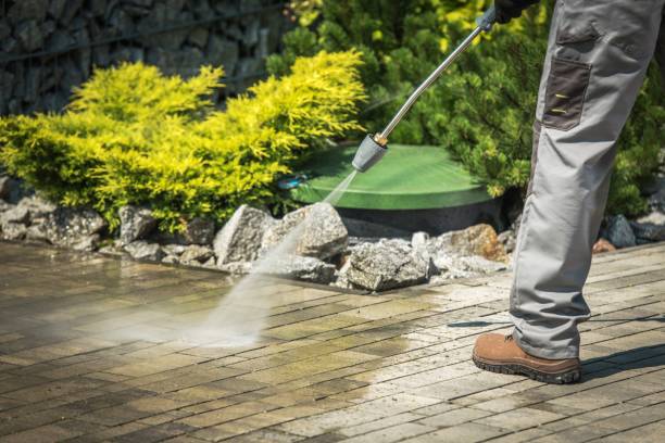 Best Fence Cleaning  in The Villages, FL