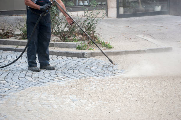 Best Gutter Cleaning  in The Villages, FL