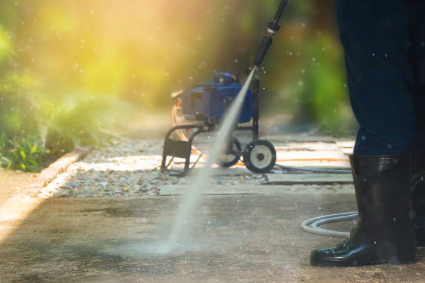 Best Solar Panel Cleaning  in The Villages, FL